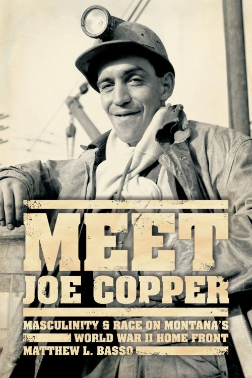 Cover of the book Meet Joe Copper by Matthew L. Basso, University of Chicago Press