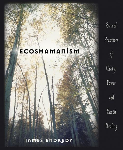 Cover of the book Ecoshamanism by James Endredy, Llewellyn Worldwide, LTD.