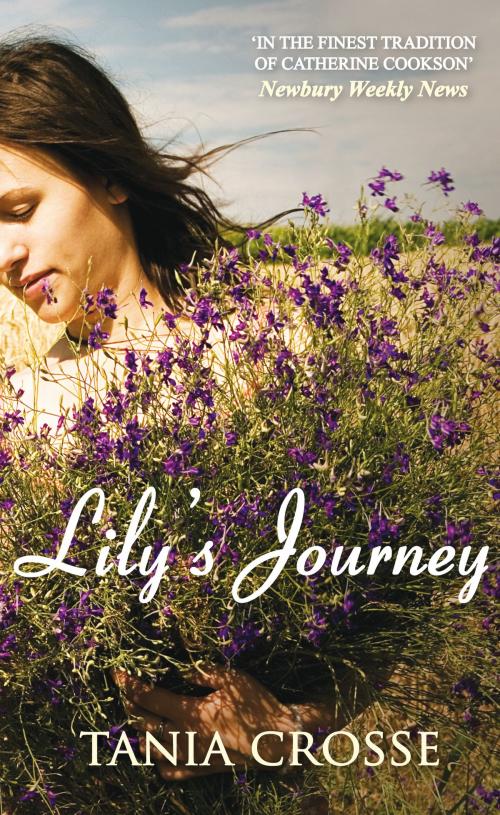 Cover of the book Lily's Journey by Tania Crosse, Allison & Busby