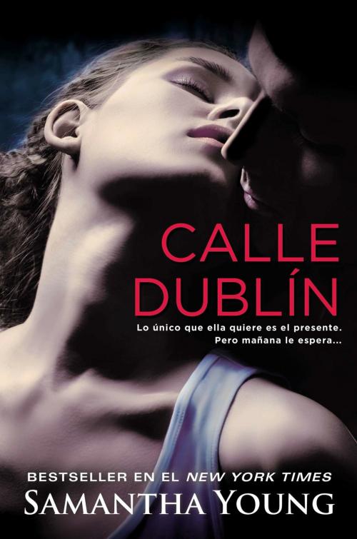 Cover of the book Calle Dublín by Samantha Young, Penguin Publishing Group