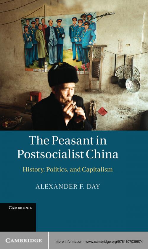 Cover of the book The Peasant in Postsocialist China by Alexander F. Day, Cambridge University Press