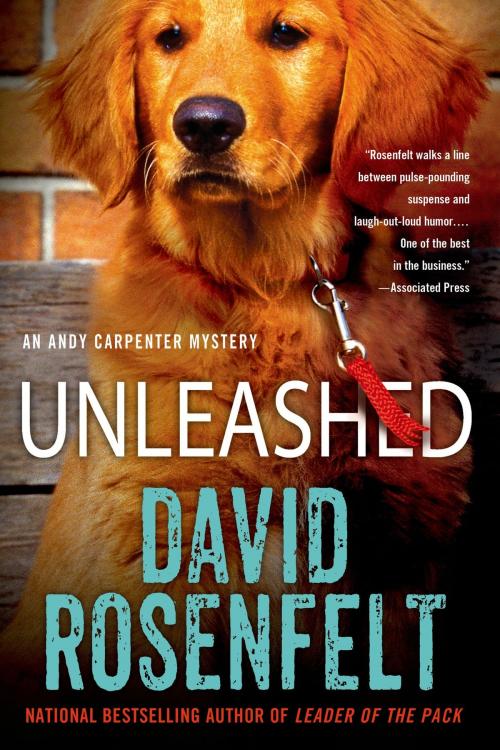 Cover of the book Unleashed by David Rosenfelt, St. Martin's Press