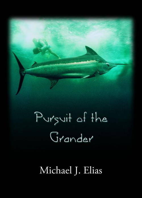 Cover of the book Pursuit of the Grander by Michael Elias, Michael Elias