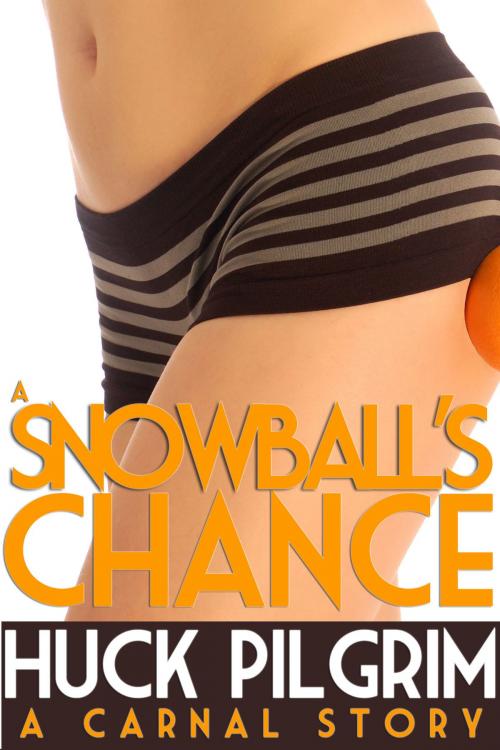 Cover of the book A Snowball's Chance by Huck Pilgrim, Huck Pilgrim Presents