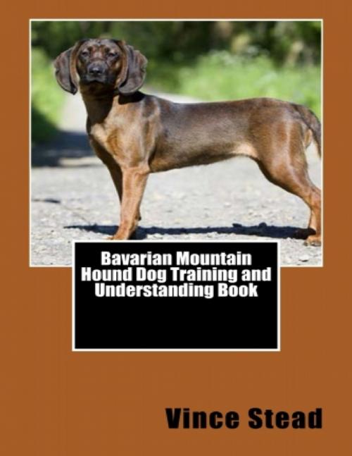 Cover of the book Bavarian Mountain Hound Dog Training and Understanding Book by Vince Stead, Lulu.com