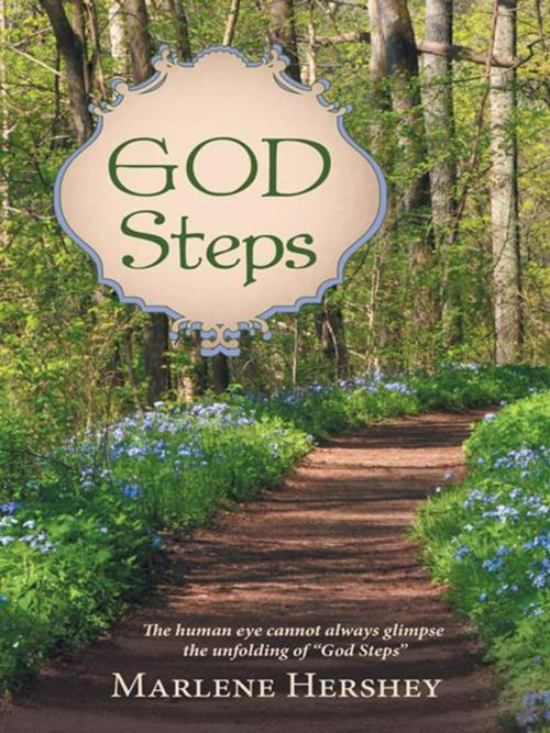 Cover of the book God Steps by Marlene Hershey, WestBow Press