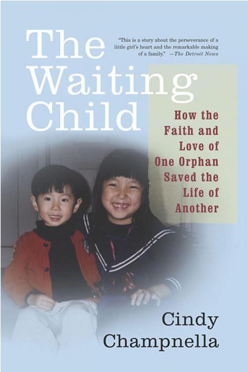 Cover of the book The Waiting Child by Cindy Champnella, St. Martin's Press