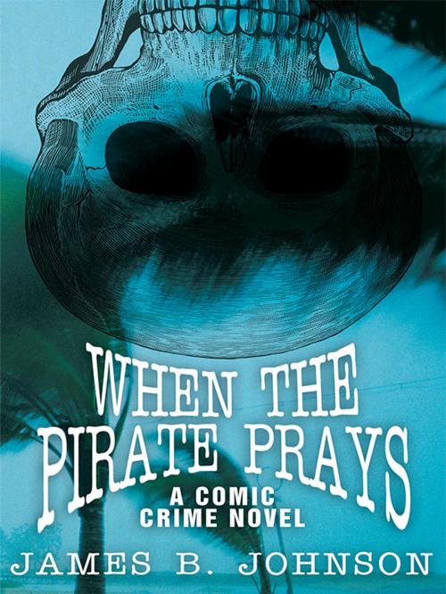 Cover of the book When the Pirate Prays by James B. Johnson, Wildside Press LLC