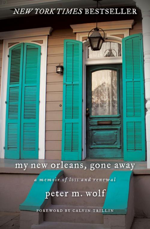 Cover of the book My New Orleans, Gone Away by Peter M. Wolf, Delphinium Books