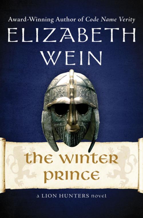 Cover of the book The Winter Prince by Elizabeth Wein, Open Road Media