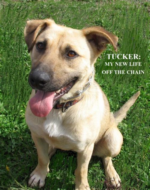 Cover of the book Tucker: My New Life Off The Chain by Angie B., BookBaby