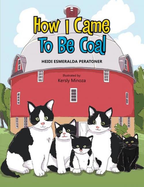 Cover of the book How I Came to Be Coal by Heidi Esmeralda Peratoner, Xlibris US