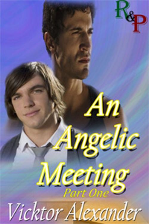 Cover of the book An Angelic Meeting by Vicktor Alexander, The Rooster & The Pig Publishing