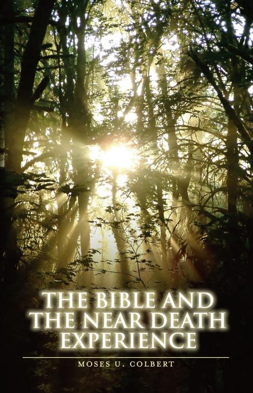 Cover of the book The Bible and the Near-Death Experience by Moses U. Colbert, Bookbaby