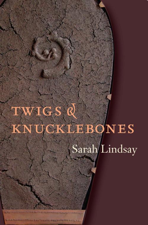 Cover of the book Twigs and Knucklebones by Sarah Lindsay, Copper Canyon Press