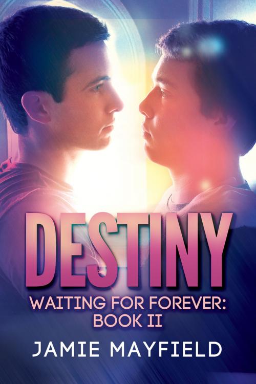 Cover of the book Destiny by Jamie Mayfield, Dreamspinner Press