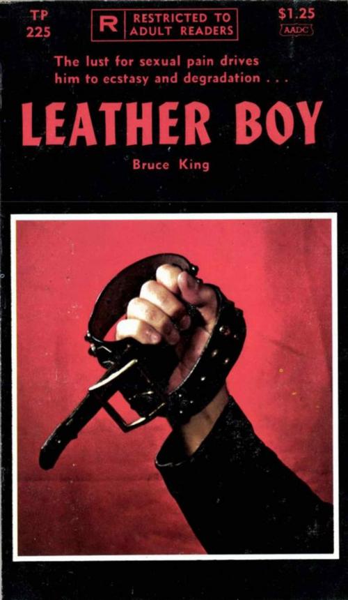 Cover of the book Leather Boy by Bruce King, Disruptive Publishing