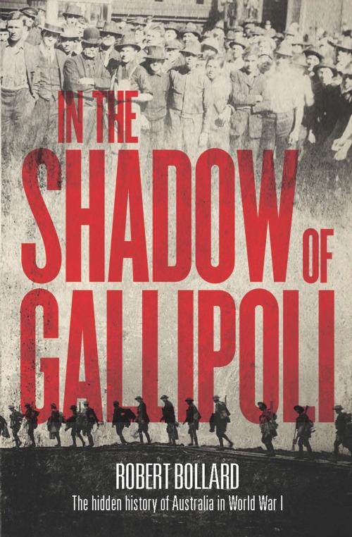 Cover of the book In the Shadow of Gallipoli by Robert Bollard, University of New South Wales Press