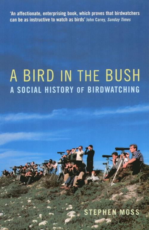 Cover of the book A Bird in the Bush by Stephen Moss, Aurum Press