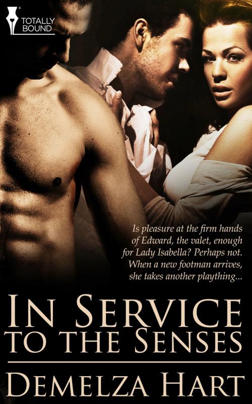 Cover of the book In Service to the Senses by Demelza Hart, Totally Entwined Group Ltd