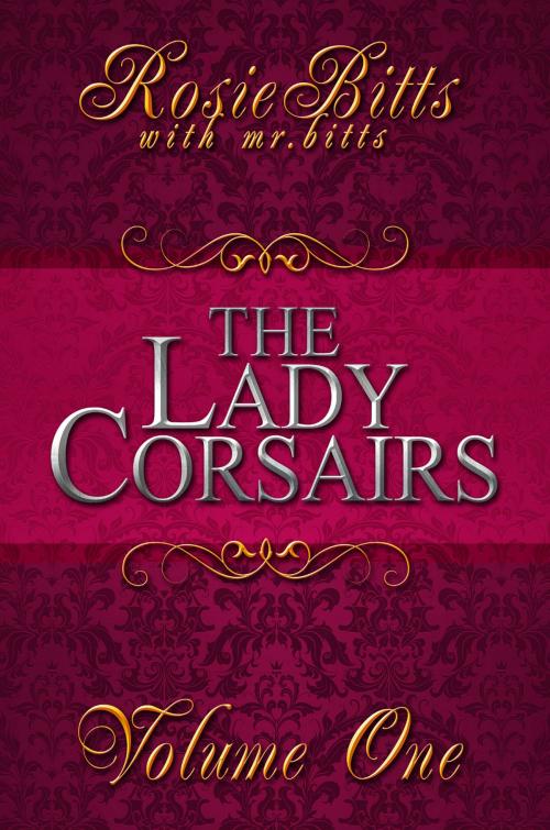Cover of the book The Lady Corsairs by Rosie Bitts, Mr Bitts, Best Bitts Productions