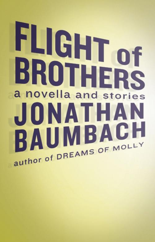 Cover of the book Flight of Brothers by Jonathan Baumbach, Dzanc Books