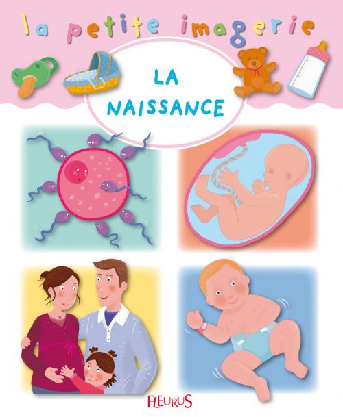 Cover of the book La naissance by C Hublet, Hélène Grimault, Émilie Beaumont, Fleurus