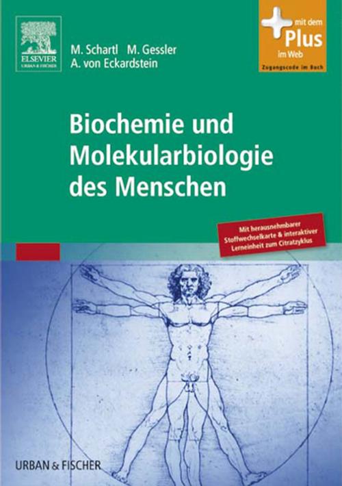 Cover of the book Biochemie und Molekularbiologie des Menschen by , Elsevier Health Sciences