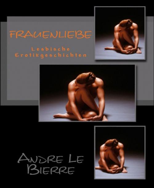 Cover of the book Frauenliebe by Andre Le Bierre, BookRix