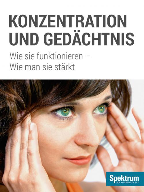 Cover of the book Konzentration und Gedächtnis by , Spektrum der Wissenschaft