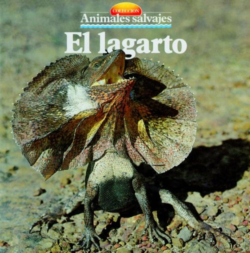 Cover of the book El lagarto by , Parramón Paidotribo