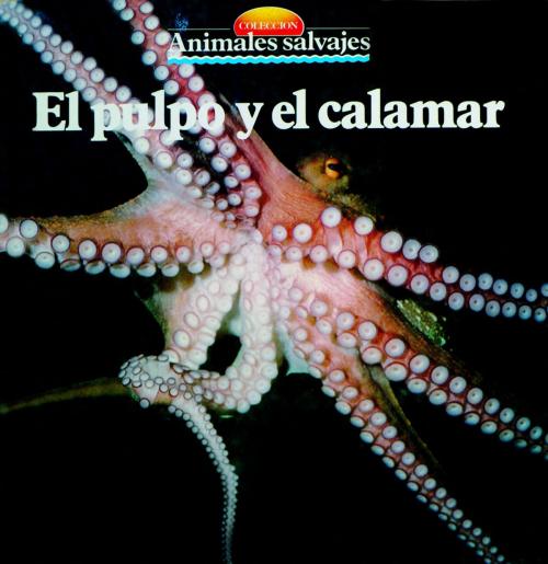 Cover of the book El pulpo y el calamar by , Parramón Paidotribo