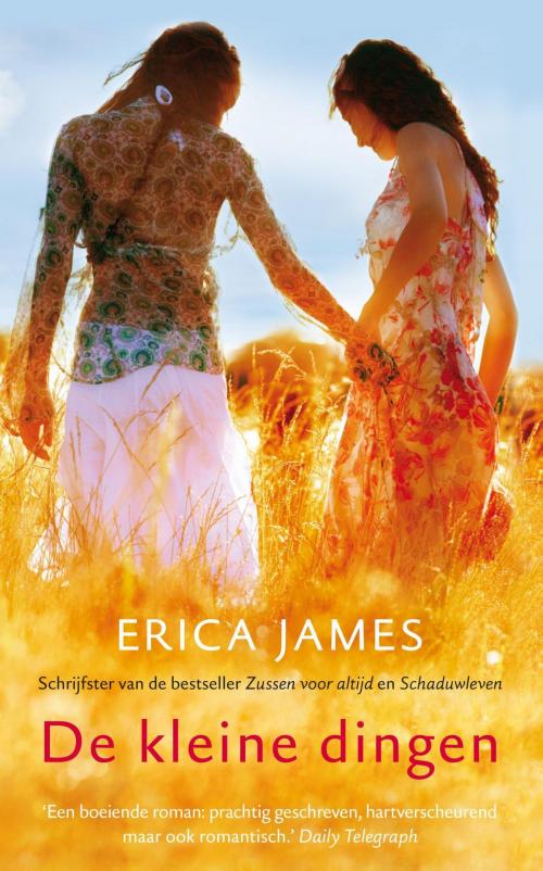 Cover of the book De kleine dingen by Erica James, VBK Media