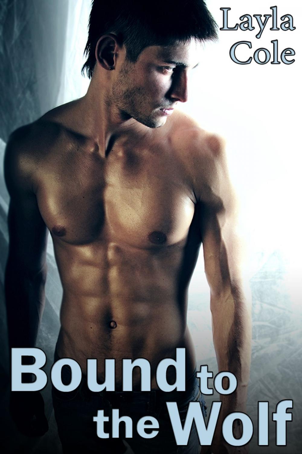 Big bigCover of Bound to the Wolf (Reluctant Gay Werewolf Erotica)