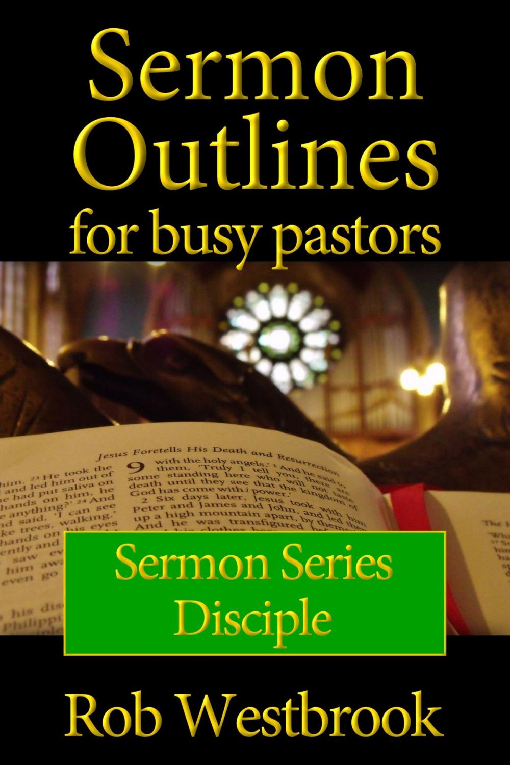 Big bigCover of Sermon Outlines for Busy Pastors: Disciple Sermon Series