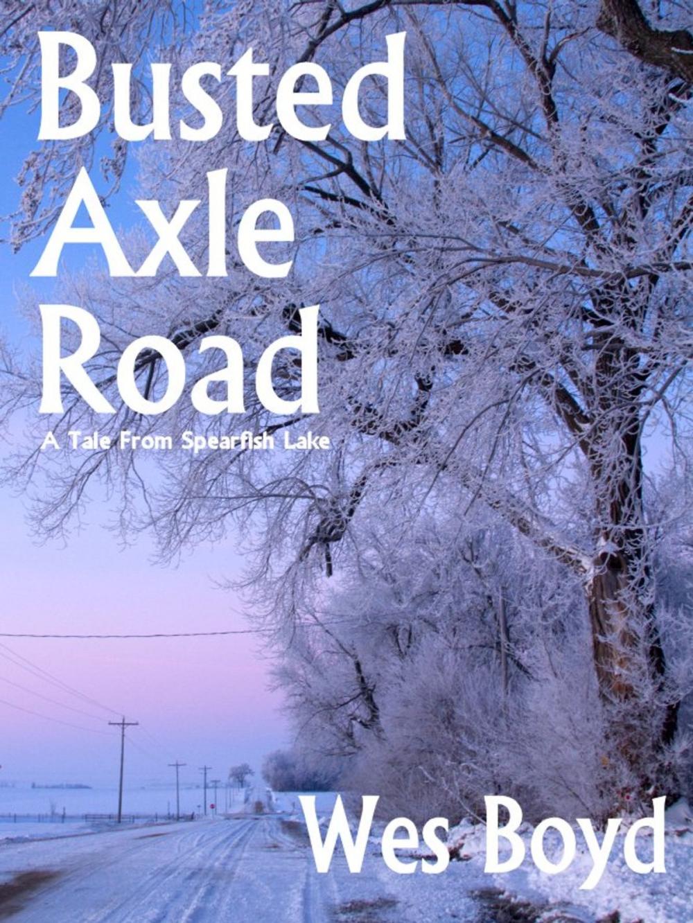 Big bigCover of Busted Axle Road