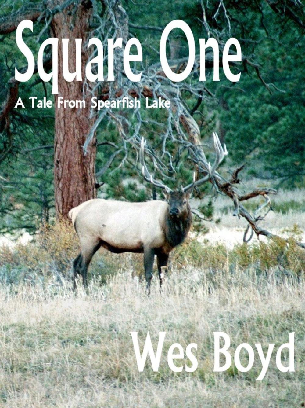 Big bigCover of Square One