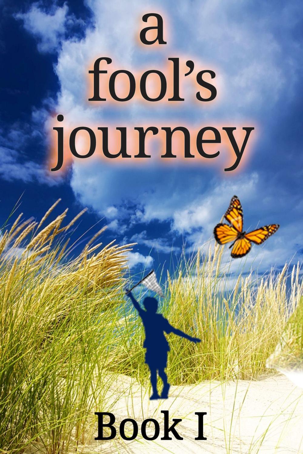 Big bigCover of a fool's journey Book I