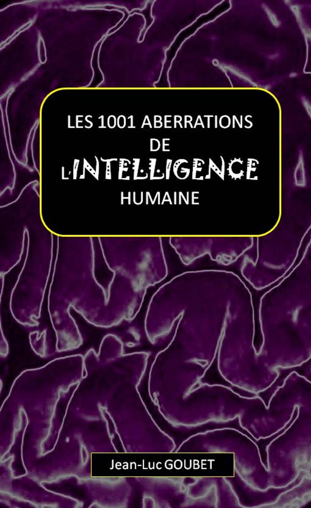 Big bigCover of LES 1001 ABERRATIONS DE L'INTELLIGENCE HUMAINE