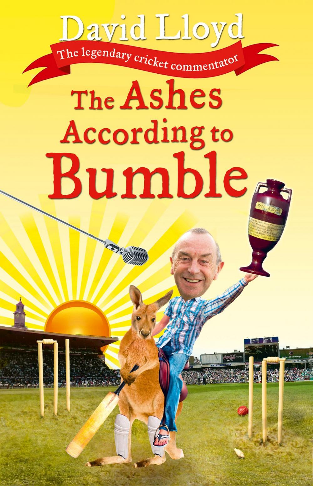 Big bigCover of The Ashes According to Bumble