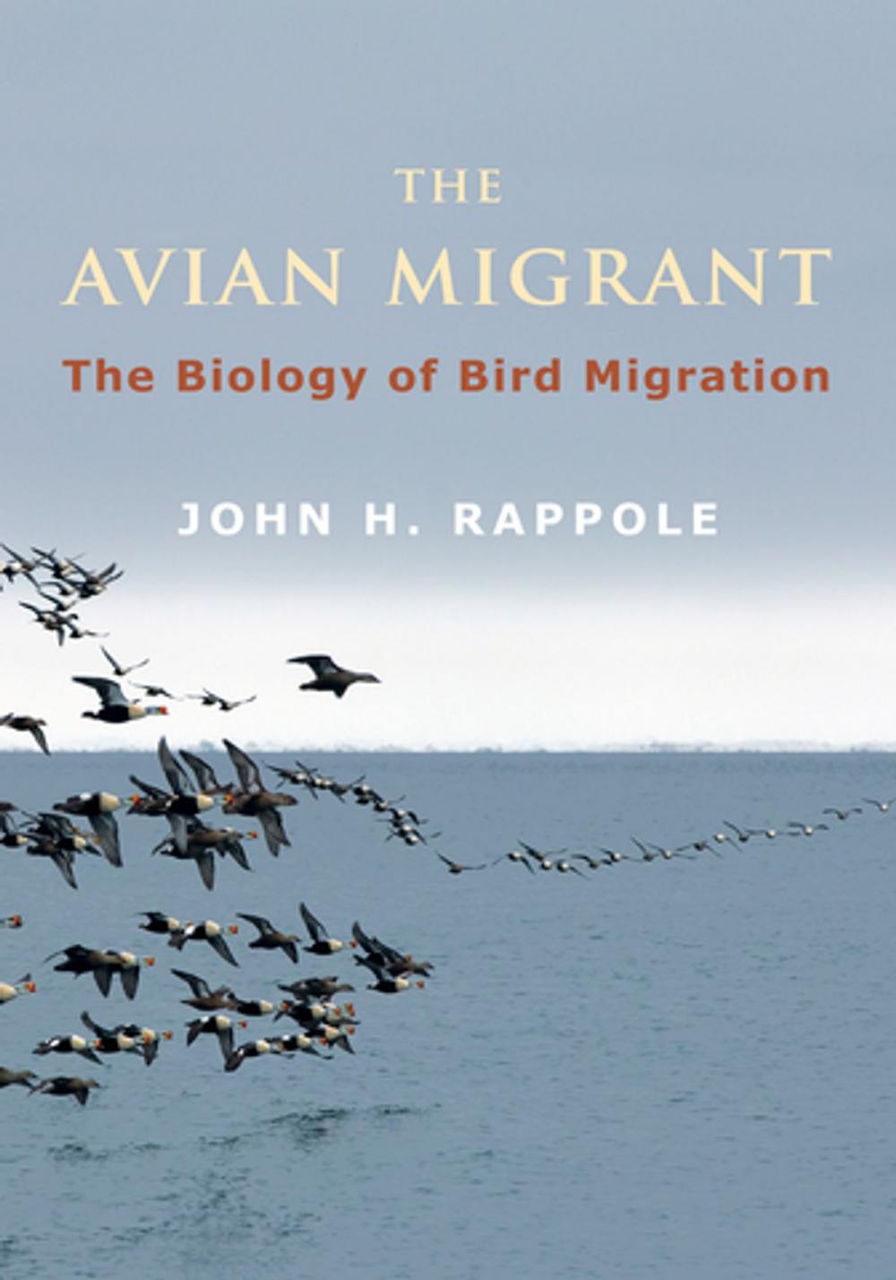 Big bigCover of The Avian Migrant