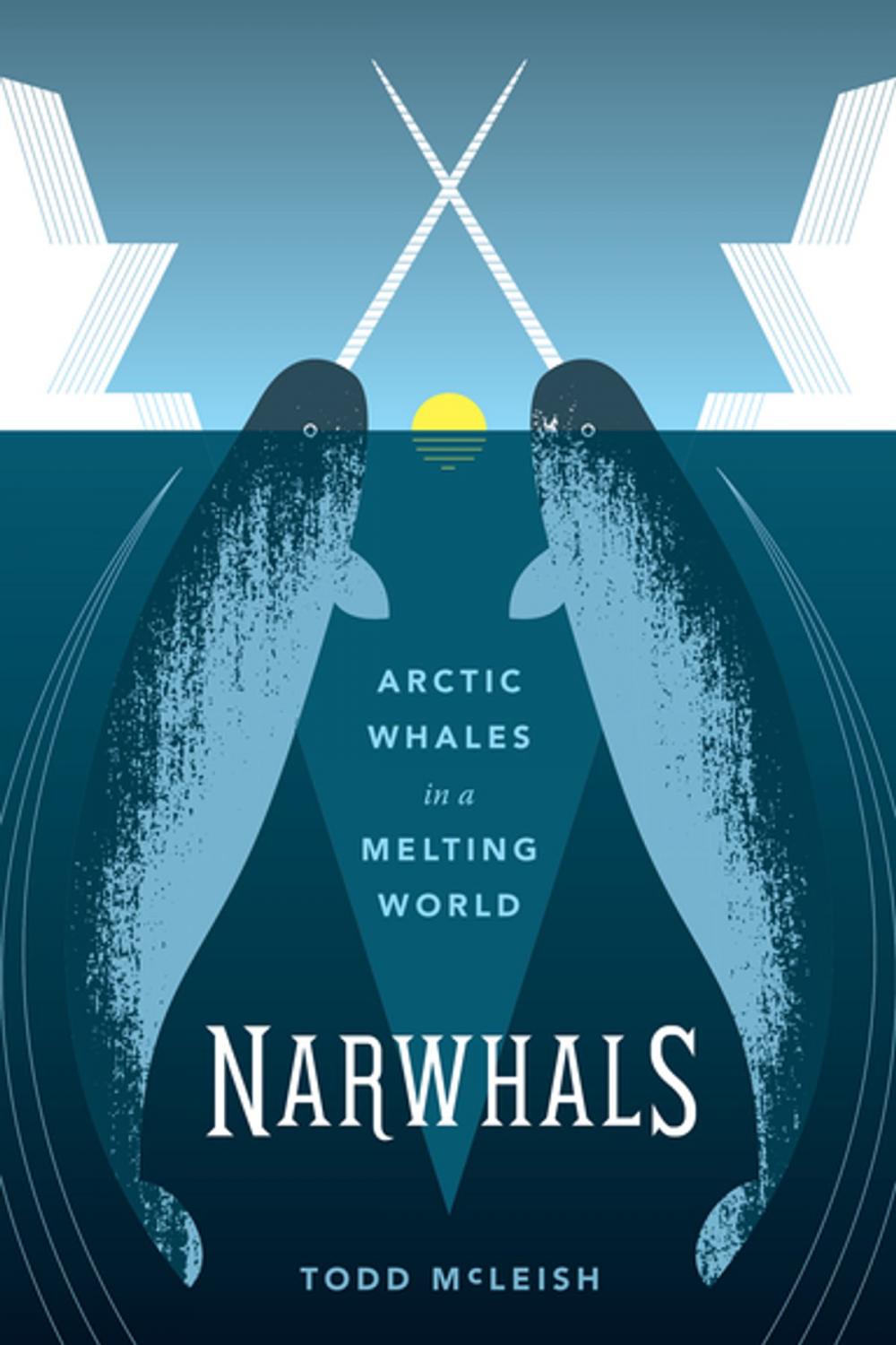 Big bigCover of Narwhals