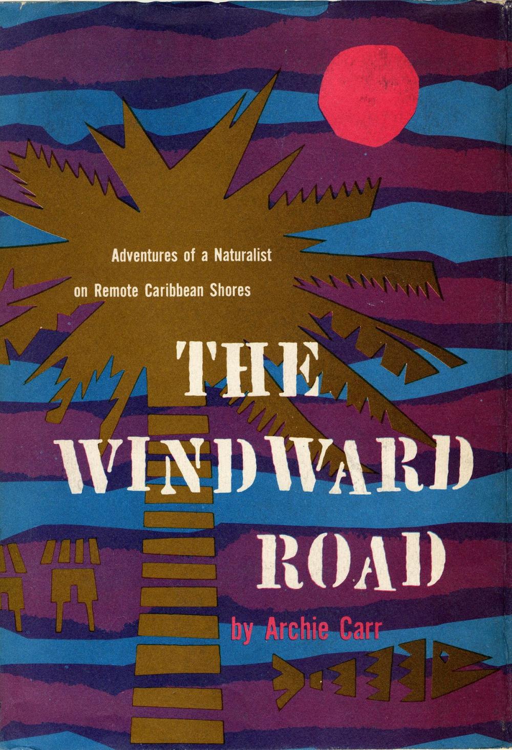 Big bigCover of The Windward Road