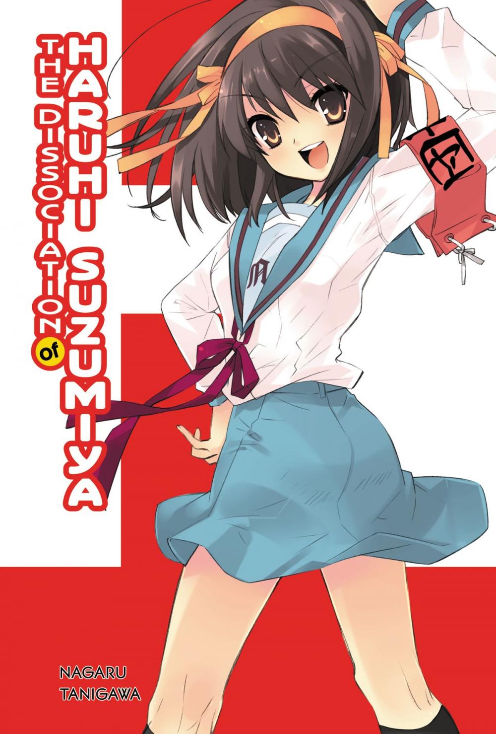 Big bigCover of The Dissociation of Haruhi Suzumiya (light novel)