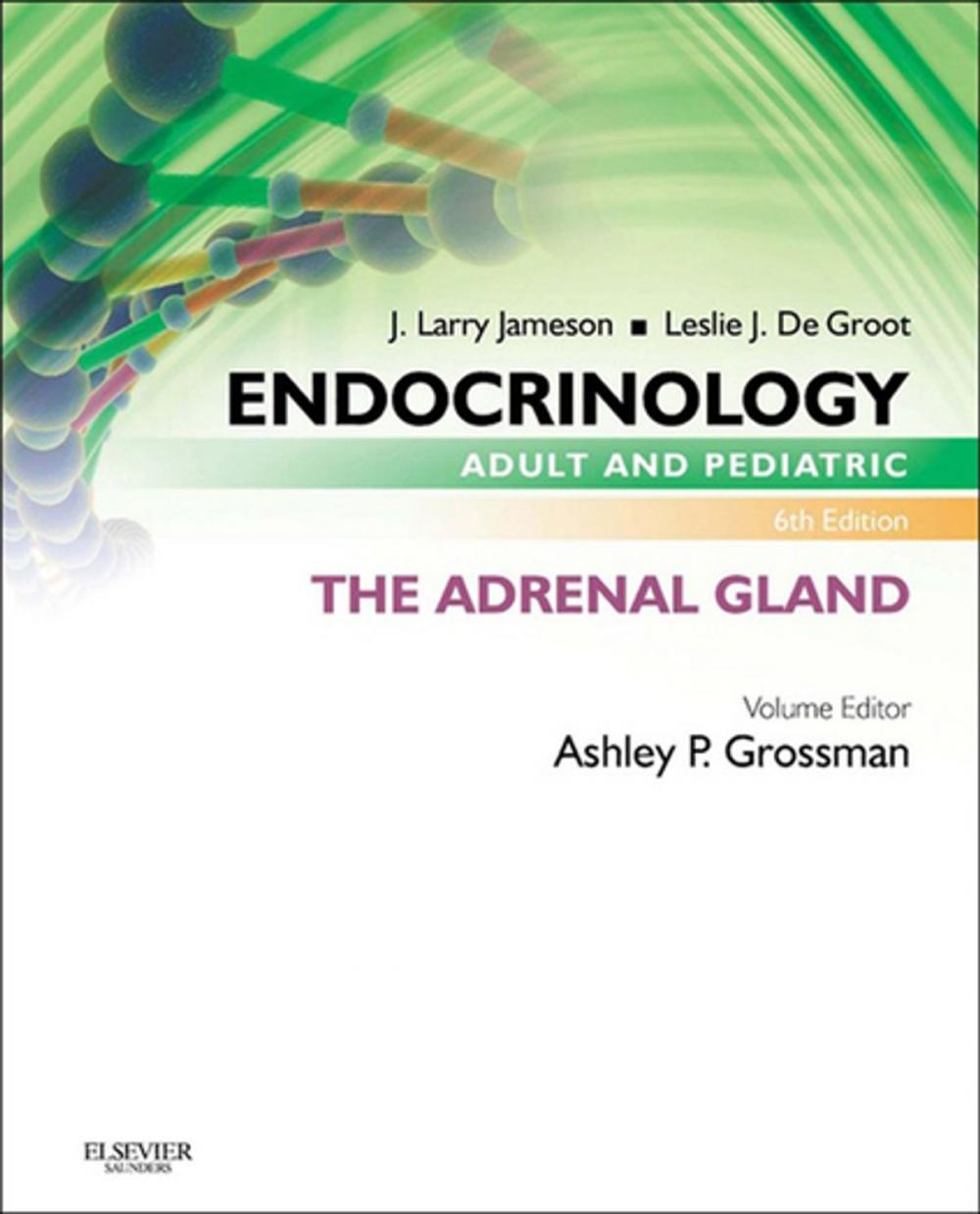 Big bigCover of Endocrinology Adult and Pediatric: The Adrenal Gland E-Book