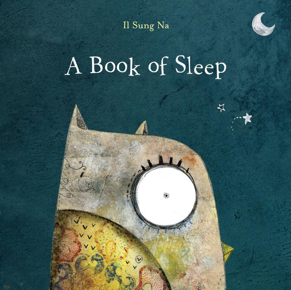 Big bigCover of A Book of Sleep