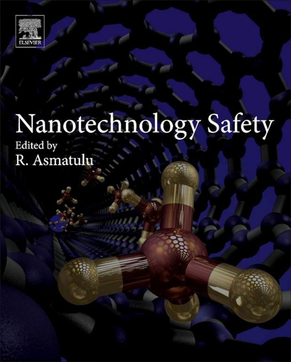 Big bigCover of Nanotechnology Safety