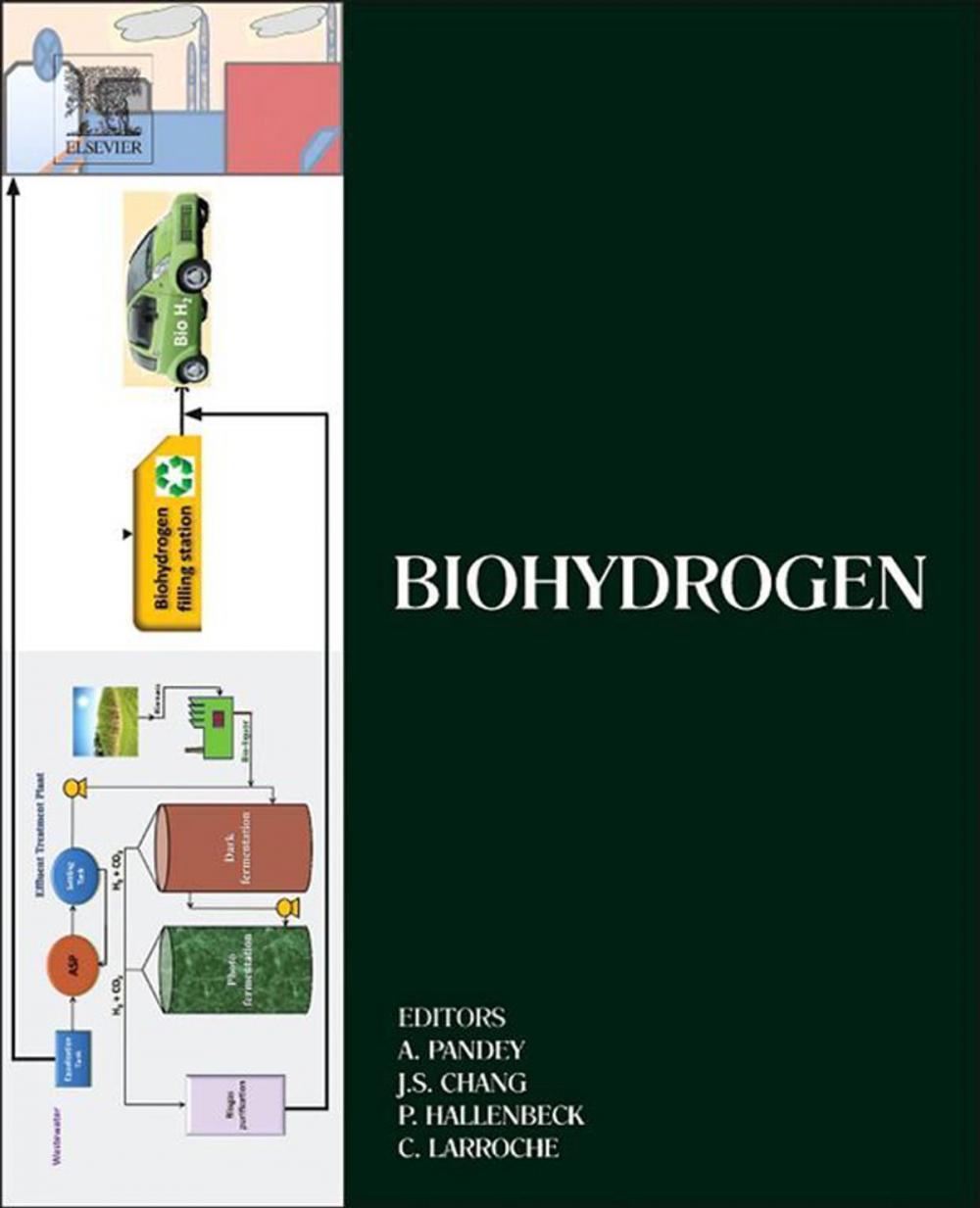 Big bigCover of Biohydrogen