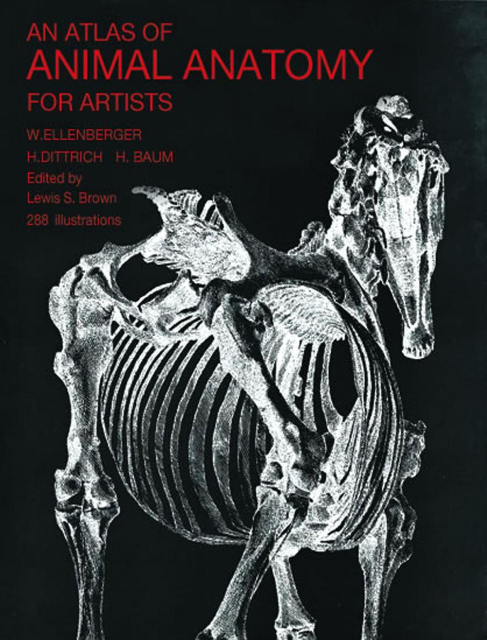 Big bigCover of An Atlas of Animal Anatomy for Artists