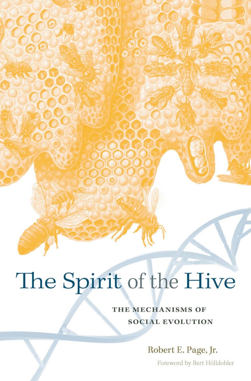 Big bigCover of The Spirit of the Hive